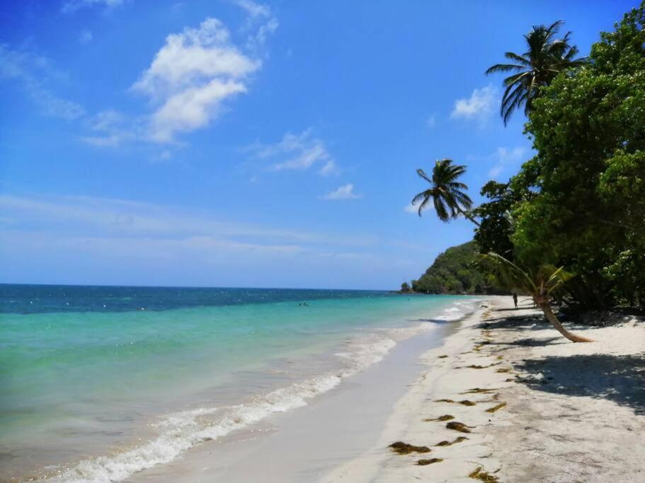 Mi Hermosa - Casa Islena A 70 Metros De La Playa Archibolds Экстерьер фото