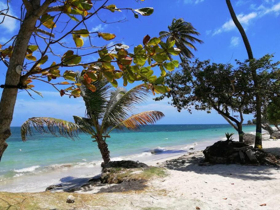 Mi Hermosa - Casa Islena A 70 Metros De La Playa Archibolds Экстерьер фото